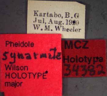 Media type: image;   Entomology 34382 Aspect: labels